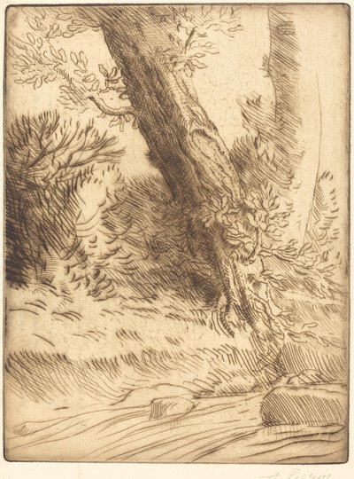 Edge of a Brook (Bord de ruisseau) av Alphonse Legros