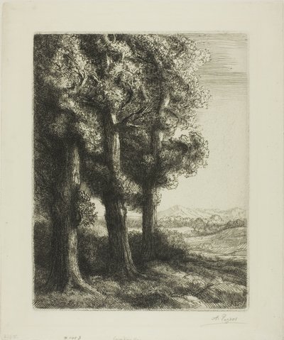 Edge of a Wood av Alphonse Legros