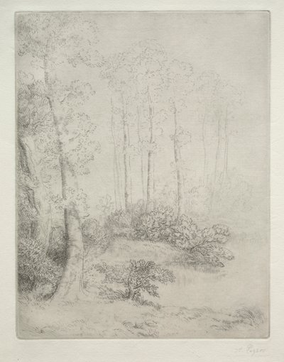 Vattnets kant av Alphonse Legros