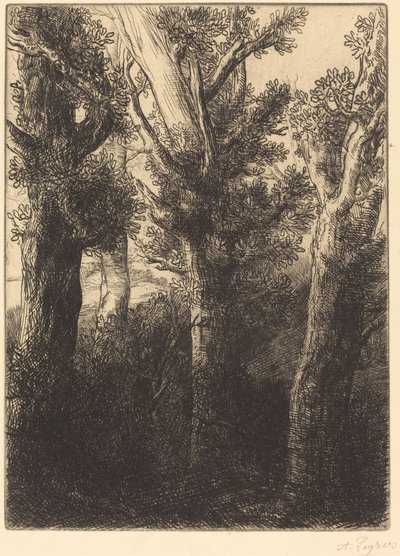 German Forest, Downley av Alphonse Legros