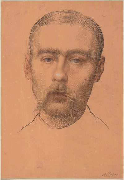 Manshuvud  (Möjligt porträtt av professor E.D. Adams) av Alphonse Legros