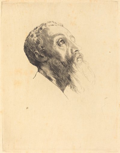 Head of a Model Heads of models. av Alphonse Legros