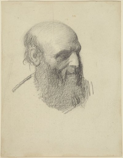 Huvudet på en skäggig man av Alphonse Legros