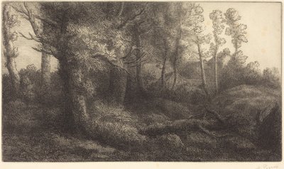 I skogen (Lisière de forêt) av Alphonse Legros
