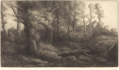 I skogen Lisiere de foret. av Alphonse Legros