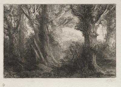 I skogen vid Conteville av Alphonse Legros