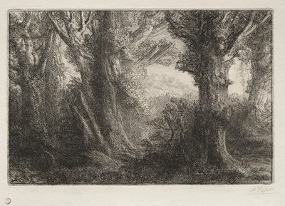 I skogen vid Conteville. av Alphonse Legros