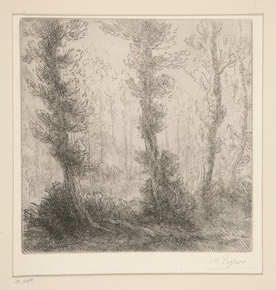 Lilla sjön av Alphonse Legros