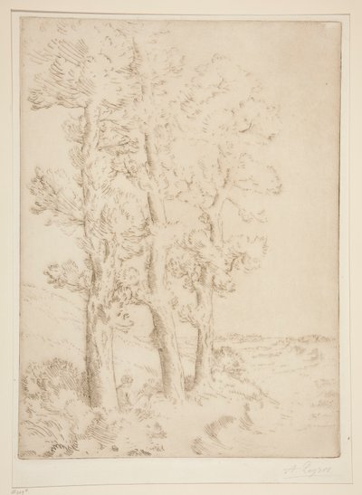 Kvinna som läser: Lektion under träden av Alphonse Legros