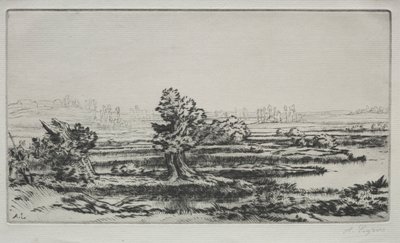 Landskap. av Alphonse Legros