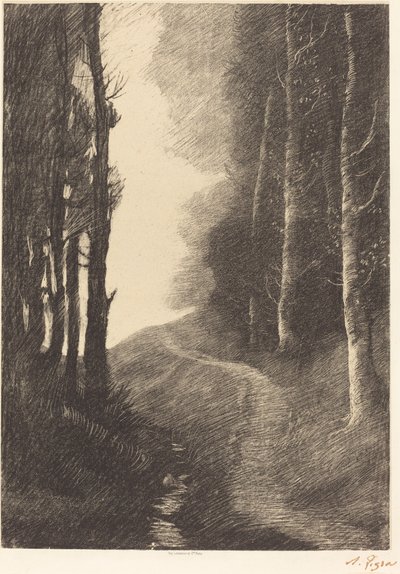 Landskap med björkar av Alphonse Legros