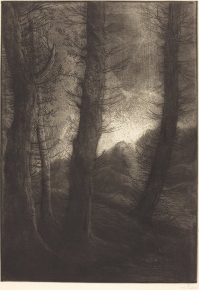 Stora träd sett mot solen Stora träd: kvällseffekt. av Alphonse Legros