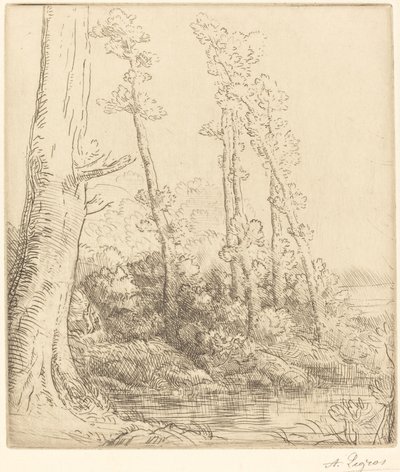 Lilla Pond La petite sto. av Alphonse Legros