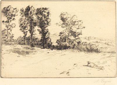 Meadow in Sunshine (Le pre ensoleille) av Alphonse Legros