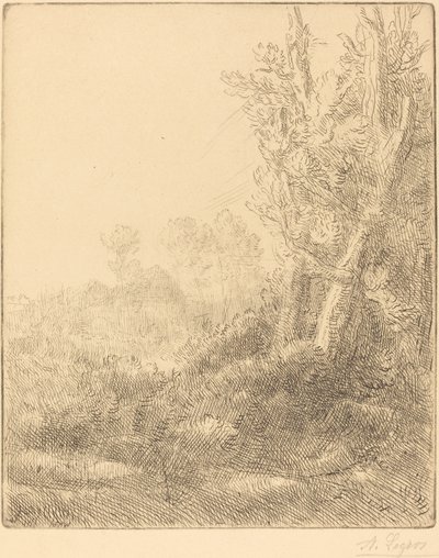 Gamla byn Gamla stan. av Alphonse Legros