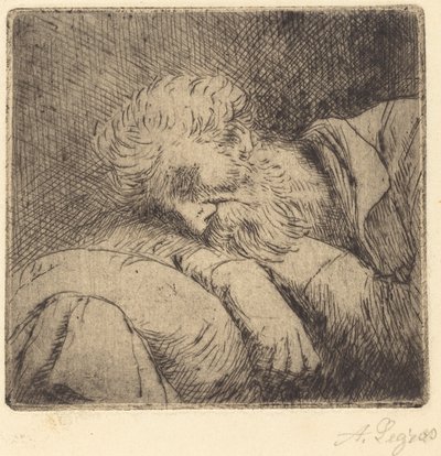 Sova tiggare Sova tiggare. av Alphonse Legros