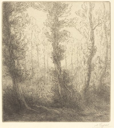 Liten sjö av Alphonse Legros