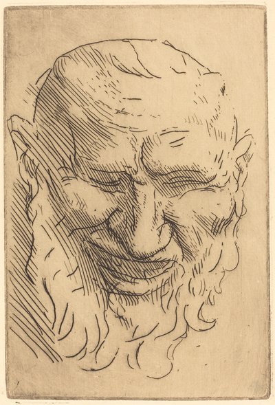 Liten Satyrmask Liten Satyrmask. av Alphonse Legros