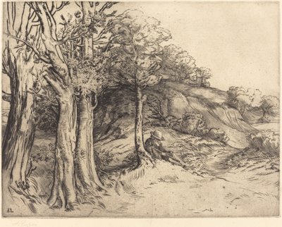 Ensamhet (Loneliness (Landskap)) av Alphonse Legros