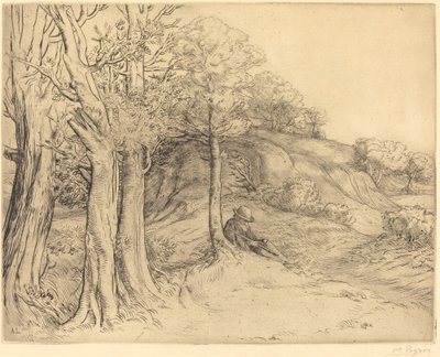 Ensamhet Ensamhet Landskap. av Alphonse Legros