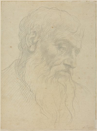 Studie av ett huvud av Alphonse Legros