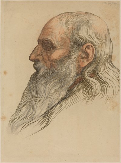 Studie av en mans huvud med helskägg. av Alphonse Legros