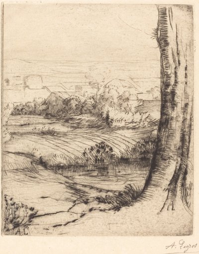 Utsikt över vass (Coin de roseau) av Alphonse Legros