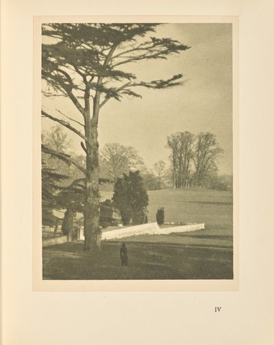 Kanten av trädgården av Alvin Langdon Coburn