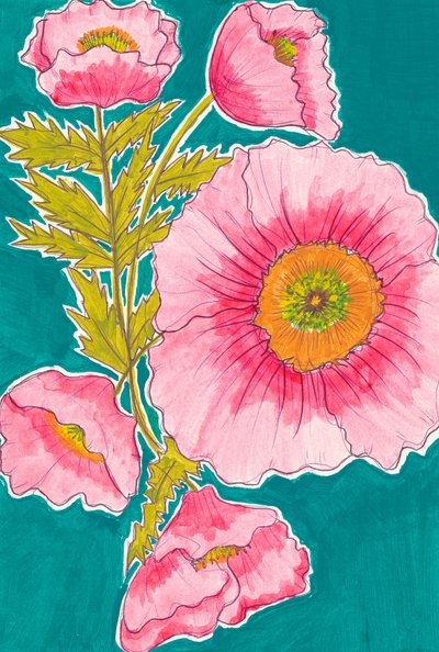 Ljusa rosa vallmo av Alyssa Hamilton