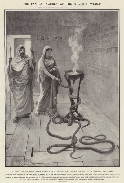 Det berömda "botemedlet" från den antika världen (litho) av Amedee (after) Forestier