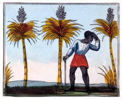 Att skära sockerrör, 1826 av Amelia Alderson Opie