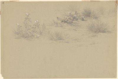Blommande buske och ökenväxter av American 19th Century after John Frederick Kensett