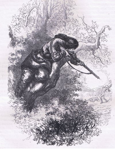 Amerikansk skytt i ett träd, illustration från Cassells History of the United States publicerad av Cassell, Petter & Galpin, c.1900 (litho) av American English school