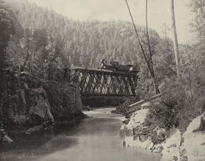 Bron i Animas Canyon, Colorado (s/v foto) av American Photographer (after)