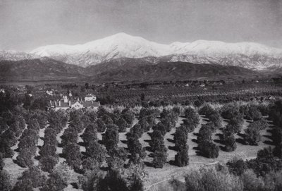 Kalifornien: Redlands, från Smiley Heights, solsken, apelsinlundar och snöiga toppar (s/v foto) av American Photographer (after)