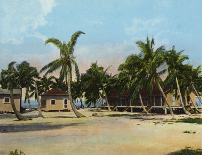 Stugor på Long Key Fishing Camp (foto) av American Photographer (after)