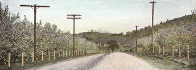 Oregon: A Road in Hood River Valley (foto) av American Photographer (after)