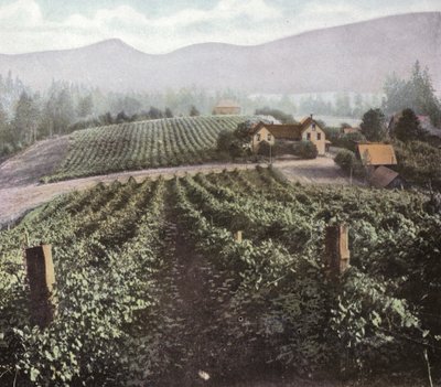 Oregon: Diversifierad jordbruk i Willamette Valley (foto) av American Photographer (after)