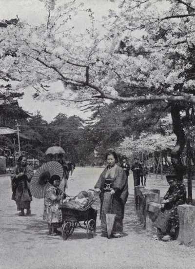 Under körsbärsblomman i Shiba Park, Tokio (s/v foto) av American Photographer (after)