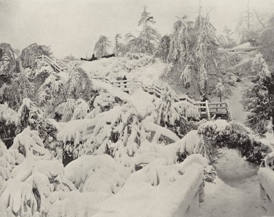 Vinterlöv på Luna Island (svart/vitt foto) av American Photographer (after)