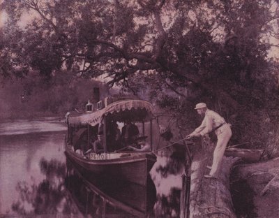 Vinter i Florida (s/v foto) av American Photographer (after)