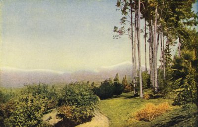 Ett landskap i södra Kalifornien nära Redlands (färgfoto) av American Photographer