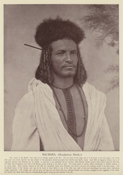 Bachara, sudanesisk sheik av American Photographer