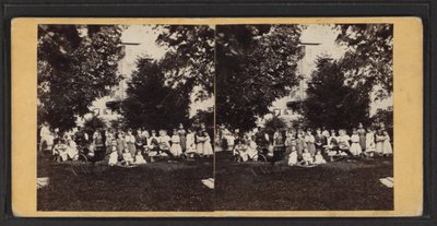 Barn och lekplats, Oneida Community, New York State, ca 1870 (s/v foto) av American Photographer