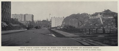 Fifth Avenue, med utsikt mot Mt Morris Park från One Hundred and Eighteenth Street (s/v foto) av American Photographer