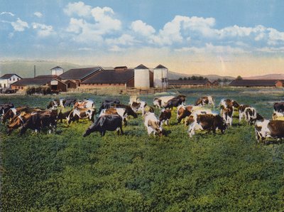 H R Timm Dairy, Dixon, Kalifornien (färgfoto) av American Photographer