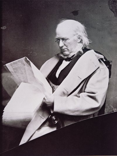 Horace Greeley (1811-72) (s/v foto) av American Photographer