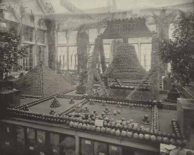 Liberty Bell i apelsiner av American Photographer