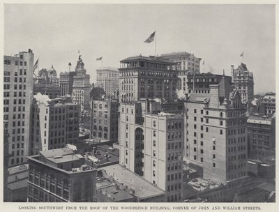 Ser sydväst från taket på Woodbridge Building, Corner of John and William Streets (s/v foto) av American Photographer