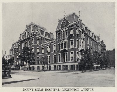 Mount Sinai Hospital, Lexington Avenue (s/v foto) av American Photographer